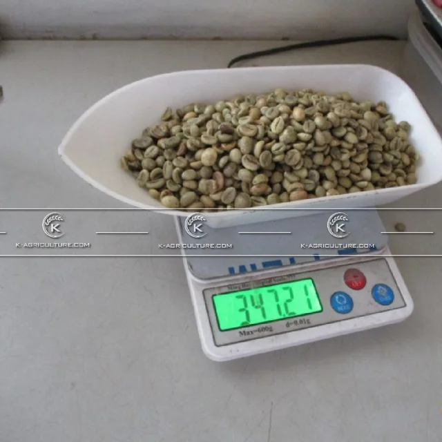 Отличный качественный вьетнамский КОФЕ Robusta самая дешевая оптовая продажа 2021