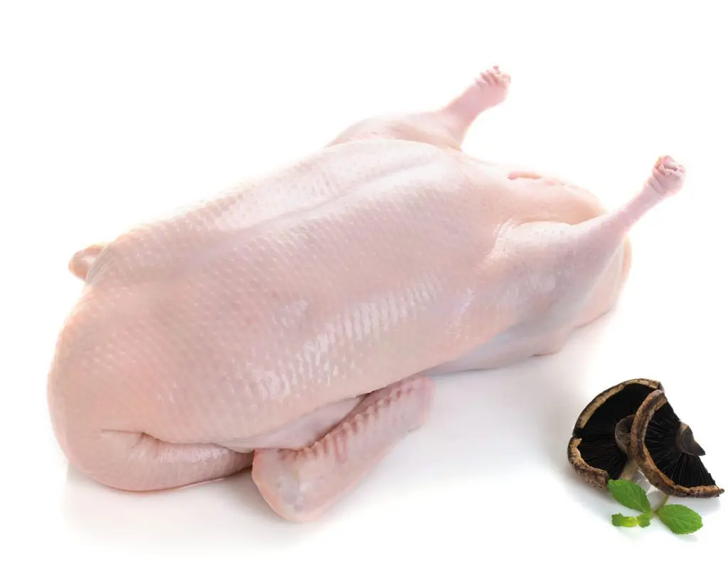 HALAL FROZEN WHOLE DUCK/ FROZEN DUCK FEET / PAWS AND DUCK GIZZARDS / WINGS