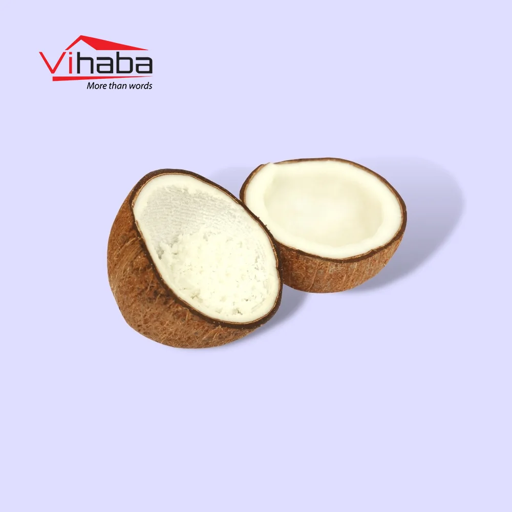 Low Medium High Fat Factory Direct Supply Low Price Dry Fruits High Quality Fresh Coconut With Export Standard