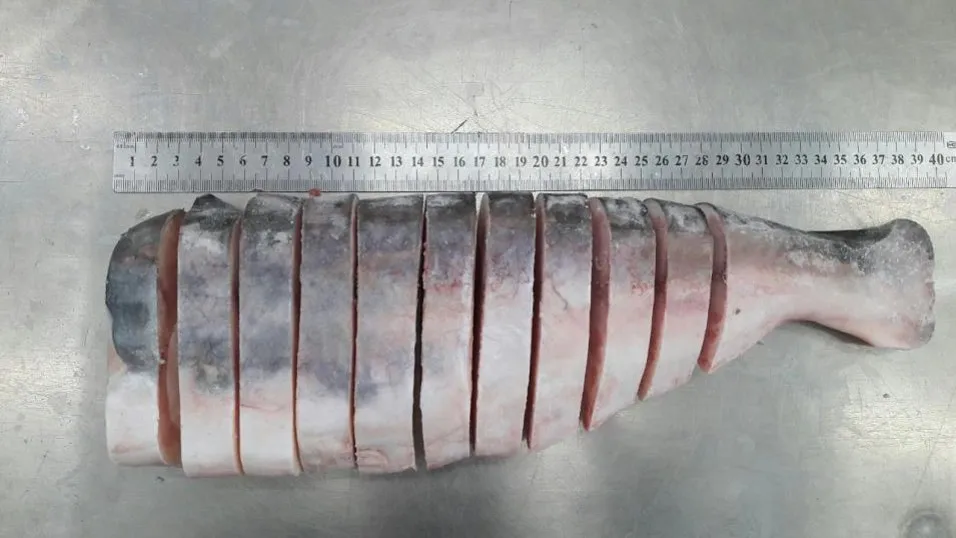 Top selling frozen Steak cut Pangaius- factory supply Frozen Pangasius/ swai/basa Fillets with ASC, BAP certificates