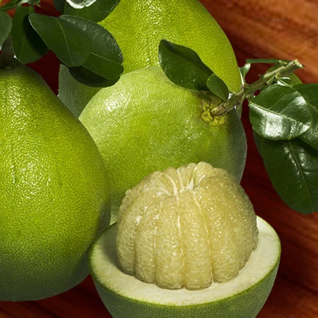 Best Selling Monthong Durian Made In Vietnam So Fresh Premium Quality Fresh Whole Piece /Frozen Pulp Durian Fruit Month