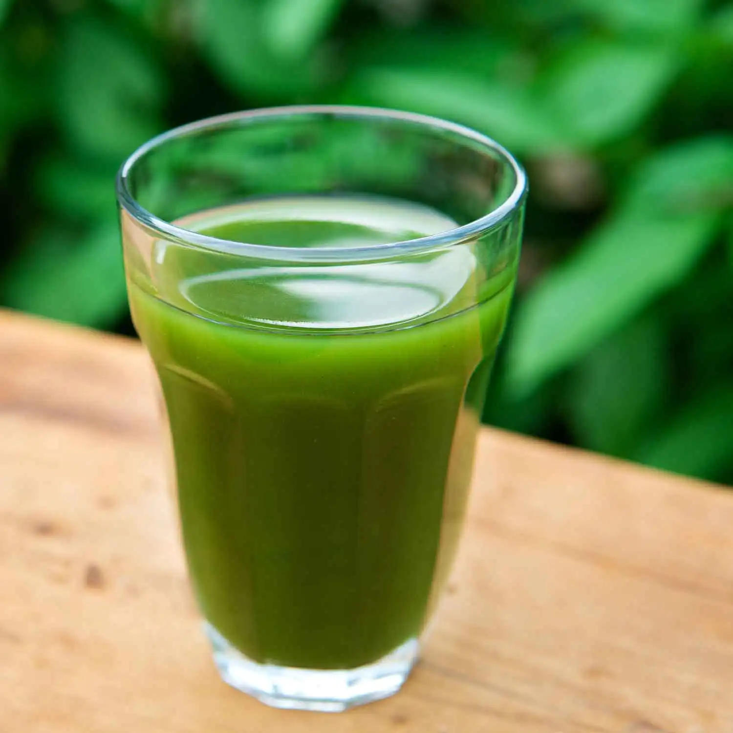 Organic green barley grass juice powder 150g