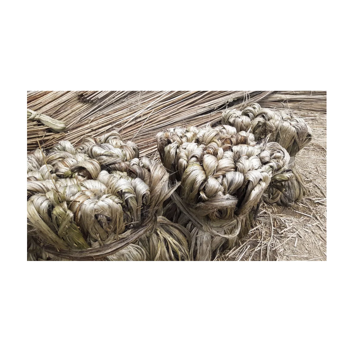 Top Quality Hot Selling Jute Color Latest Material Raw Jute 100% Natural Top Selling Exportable Sustainable Moisture Low Price