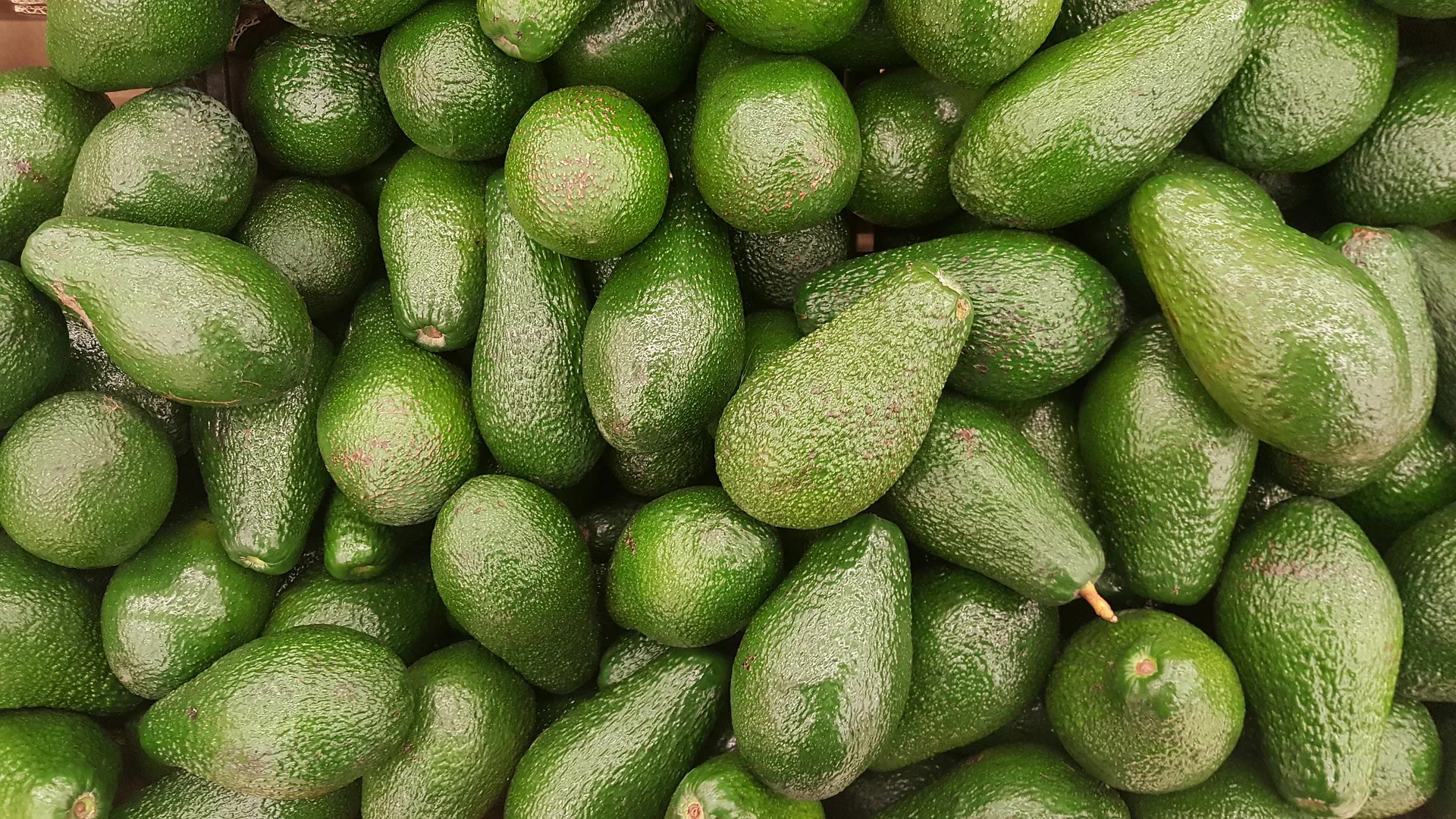 Авокадо зелёный