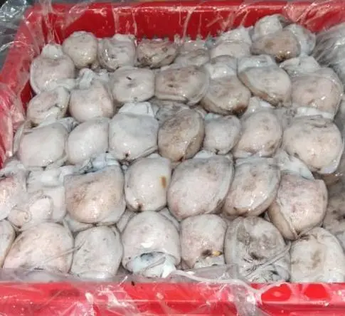 FROZEN BABY CUTTLEFISH WHOLE
