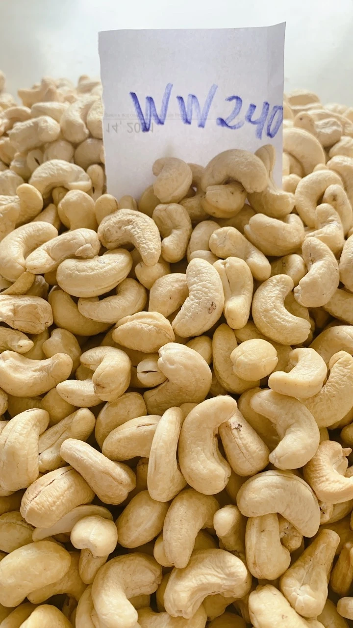 Raw Cashew Nuts export from Vietnam wholesale High Quality (Certification: GAP, HACCP...) at Cheap Price