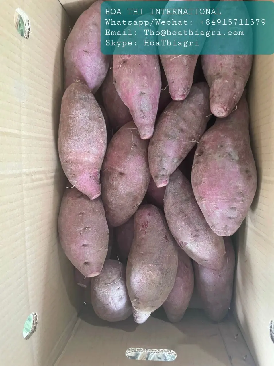 Carton Boxes Common Cultivation Type 100% Natural 170-450kg Sweet Potato Purple Flesh Vietnam With Export Quality