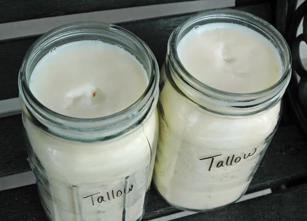 Оптовый Поставщик замороженной говядины Tallow для продажи по низкой