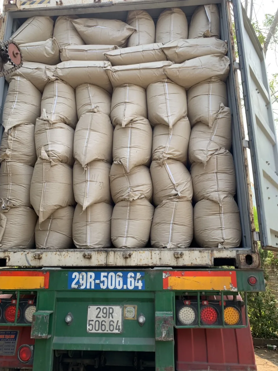 Green Tea Leaves For Pakistan Market from 1.42 usd per kg Good Price Good quality