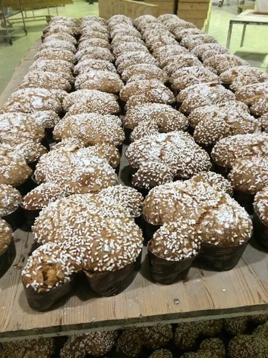 
handmade panettone stuffed whit trecchinotto made in Italy 
