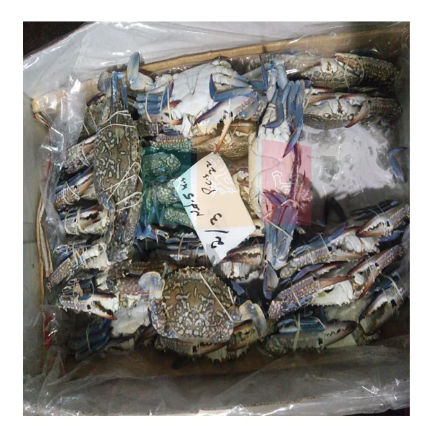 
Frozen IQF Blue Swimming Crab 