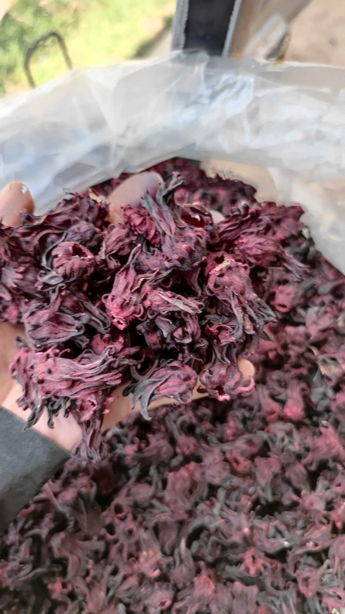 
Organic Dried Roselle From Thailand 