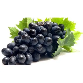 
Highly Demanded Seedless Juicy Grapes 