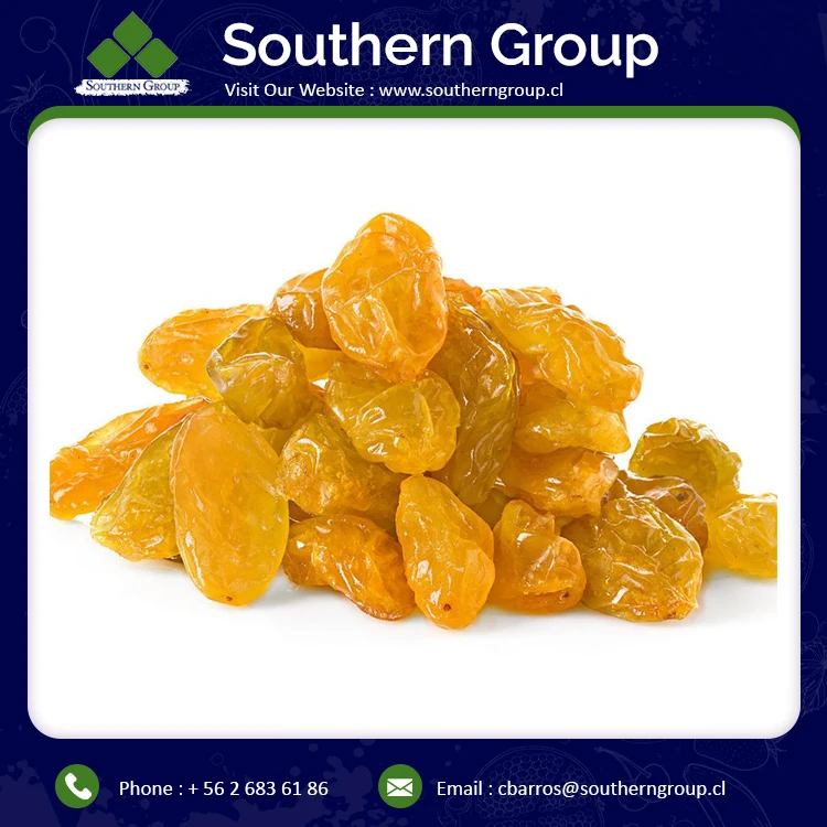 
High Quality Best Seller Factory Price Wholesale Golden Raisins for Sale 