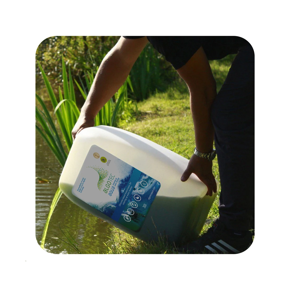 Экологически чистая хлорелла вульгарис, жидкость для очистки воды, Абсолютно Безопасная и Нетоксичная зеленая альга аквакультуры (подвеска)