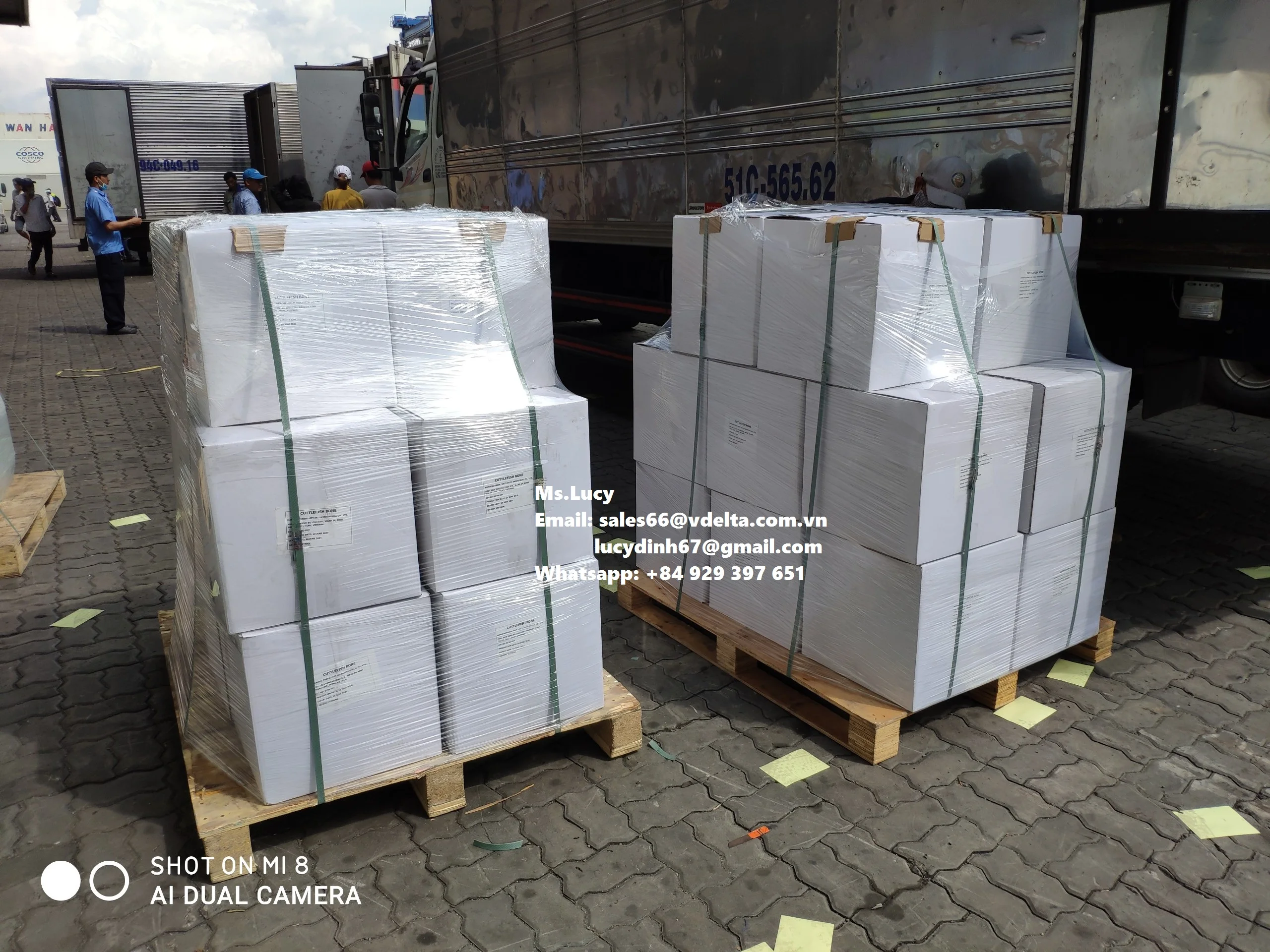 Кости с высоким содержанием кальция для птиц корма животных лучшая еда домашних Ms. Люси + 84 929 397 651