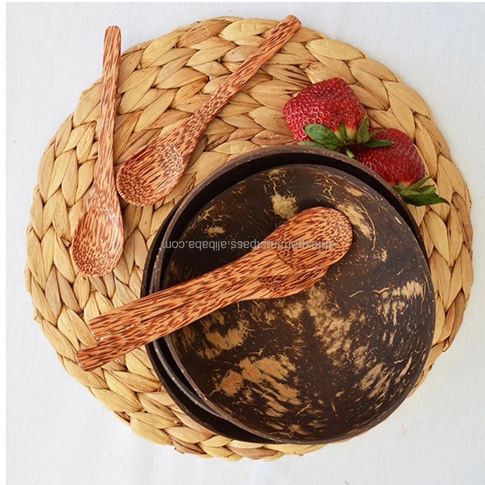 Coconut bowl shell special design wholesales customized package disposable dinnerware