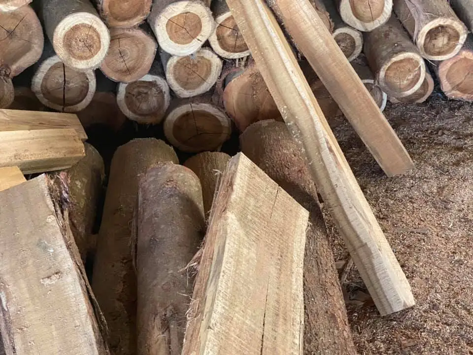 High Quality Round White and Yellow Color Timber wood Logs With Length Max 1.5m Diameter 40cm From Vietnam