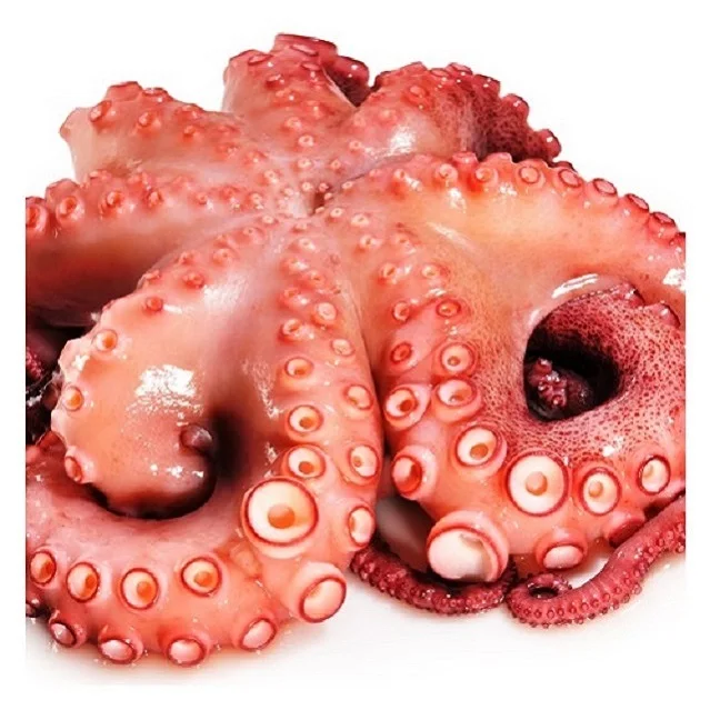  Best Quality New Stock IQF whole round frozen baby octopus from Vietnam
