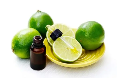 Buy Fully Organic Lime Oil For Multi Type Usable Oils Manufacture in India Best Prices By India Suppliers