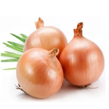 Оптовая продажа свежих луков на экспорт