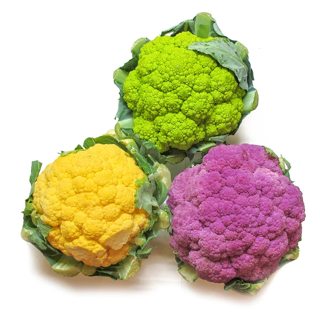 Cauliflower High Quality South Africa Product (1600450116696)