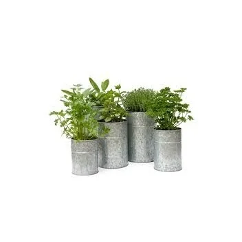 Metal Galvanized  Plant Pot Set of 4  Decorative Modern Indoor Planter  Office Desk Pot with Gold Metal Stand