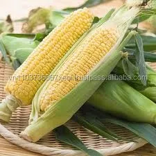 Высококачественная консервированная сладкая кукуруза/кукурузная Кукуруза в олове + 84-845-639-639