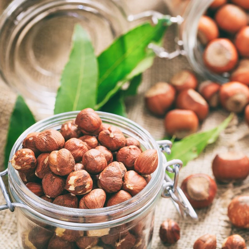 9-11 MM Chubby Organic & Natural Healthy Unshelled Raw 500gr. Hazelnut All Sizes are Available.