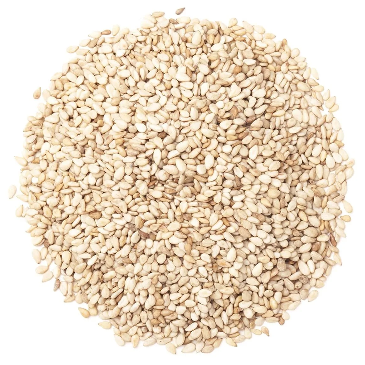 
SESAME SEEDS 