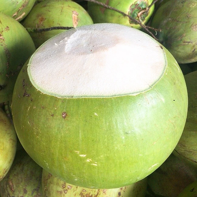 Дешевая цена зеленый кокос свежий молодой сладкий