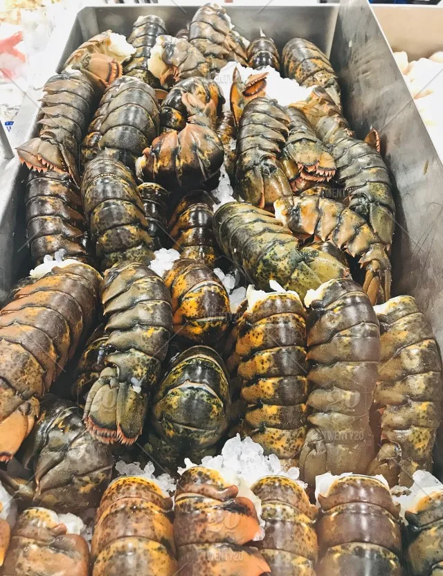 Качество морепродуктов замороженных Омаров