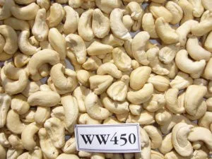 Made in Vietnam Raw Cashew Nuts Roasted Cashew Nut Vietnam Cashew Nuts