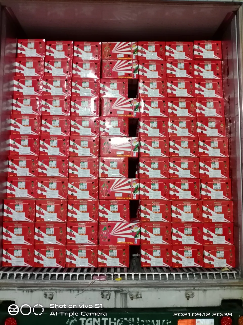 VIETNAM white/red Dragon fruit/ whatsapp +84966208131