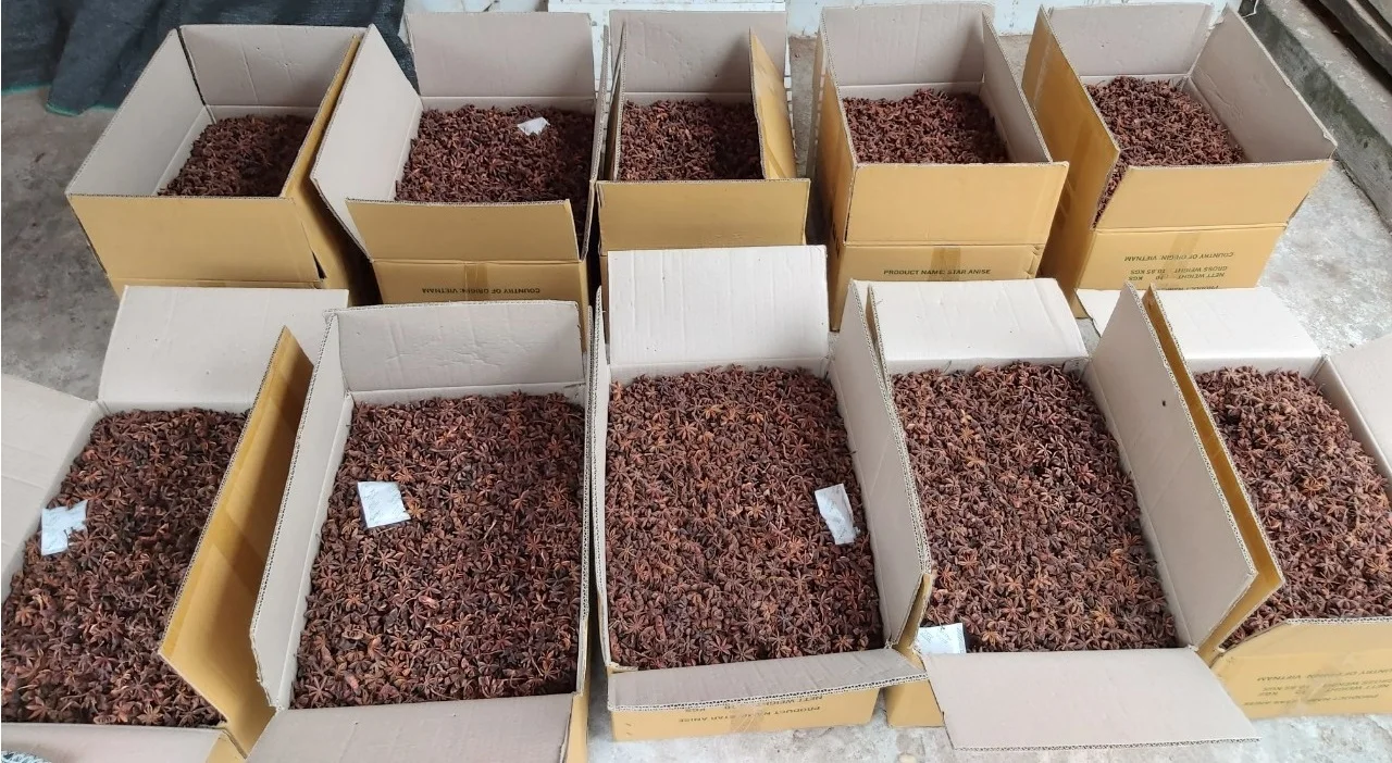  Вьетнамский Звездный анис Лучшая цена на звездный