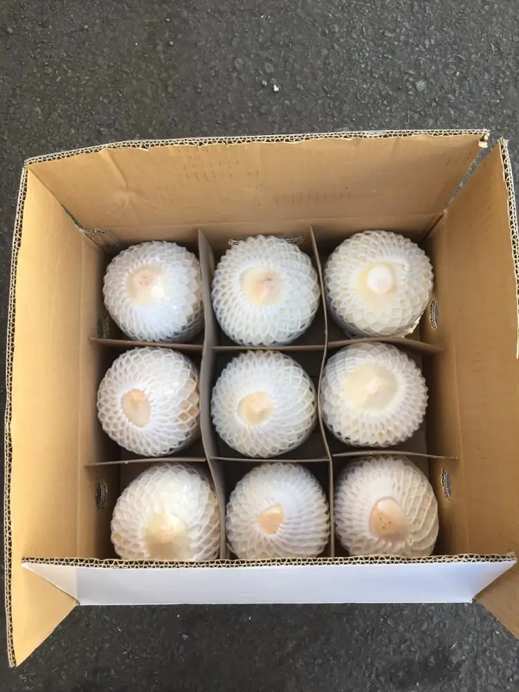 
FRESH GREEN COCONUT/ FRESH YOUNG COCONUT 