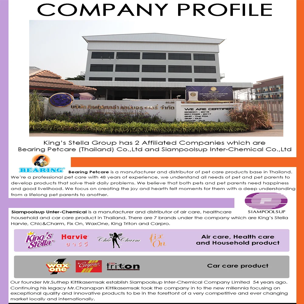 company profile1