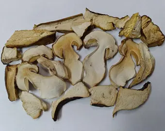 
Quality Dried boletus edulis,Boletus edulis Mushroom Mycelium 