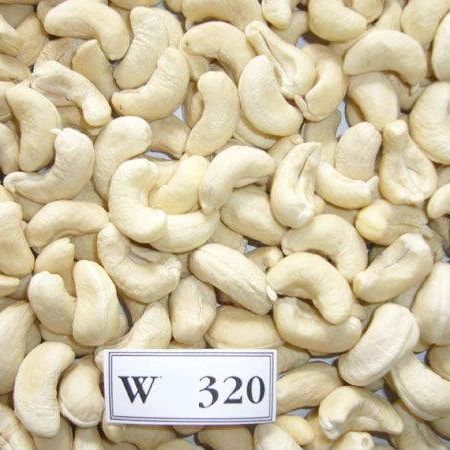 
Cashew Nut LP good quality for export 
