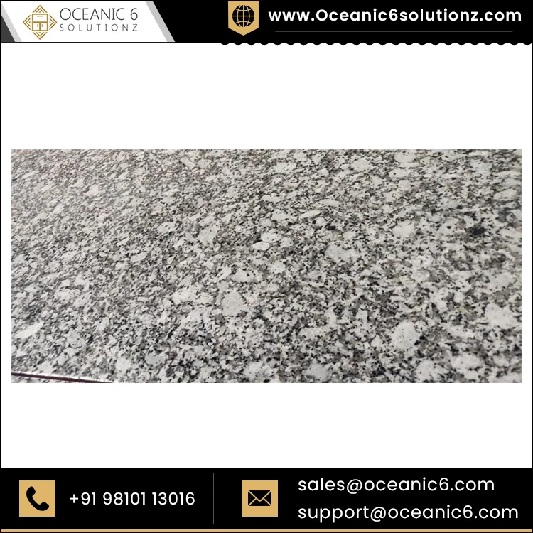 Platinum White Natural Stone Granite Cut to Size Thick Slabs Countertops for Indian Granite Buyers