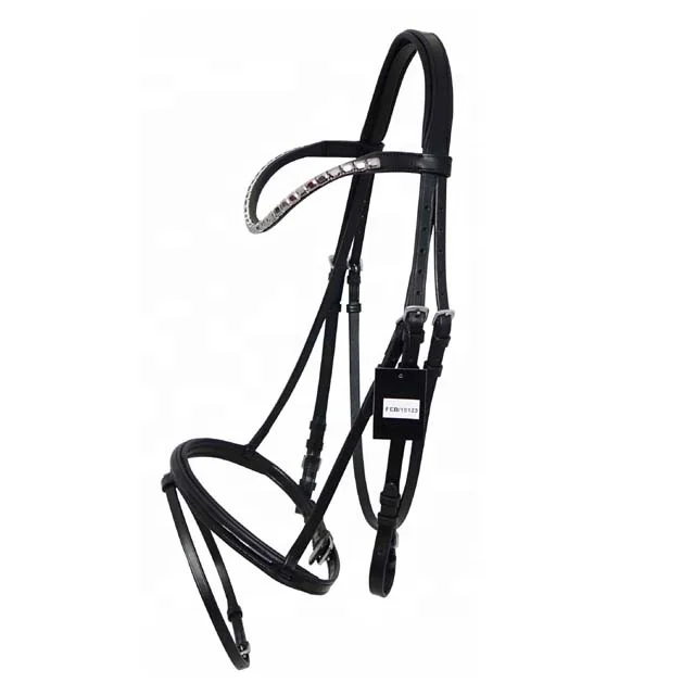 Leather Bridle