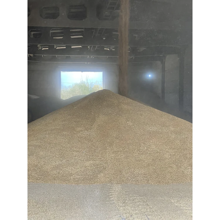 Bulk in container whole barley organic from russian manufacturer, animal feed barley bulk
