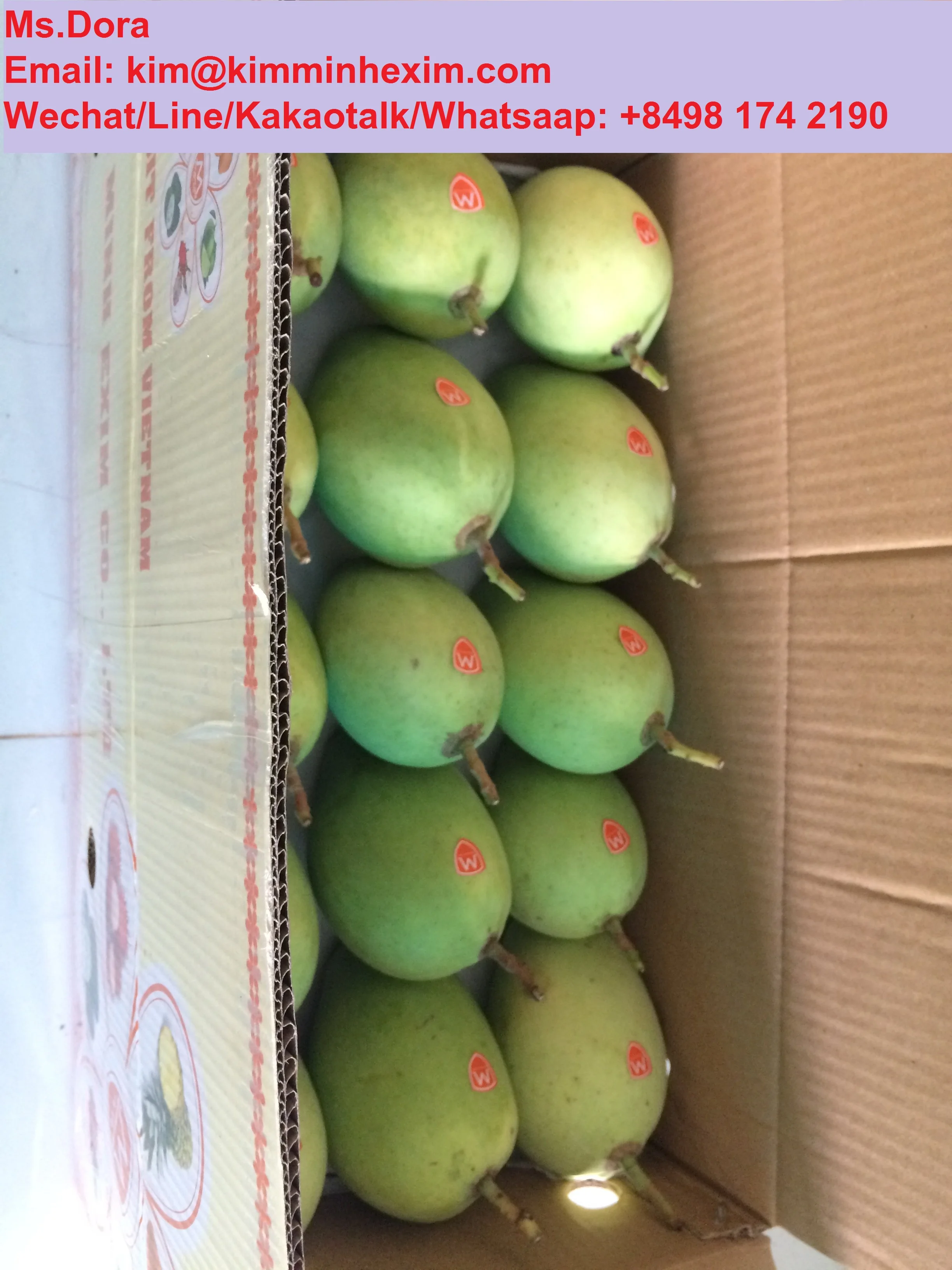 2022 Premium Fresh Mango/Mango Sweet Mango VietNam