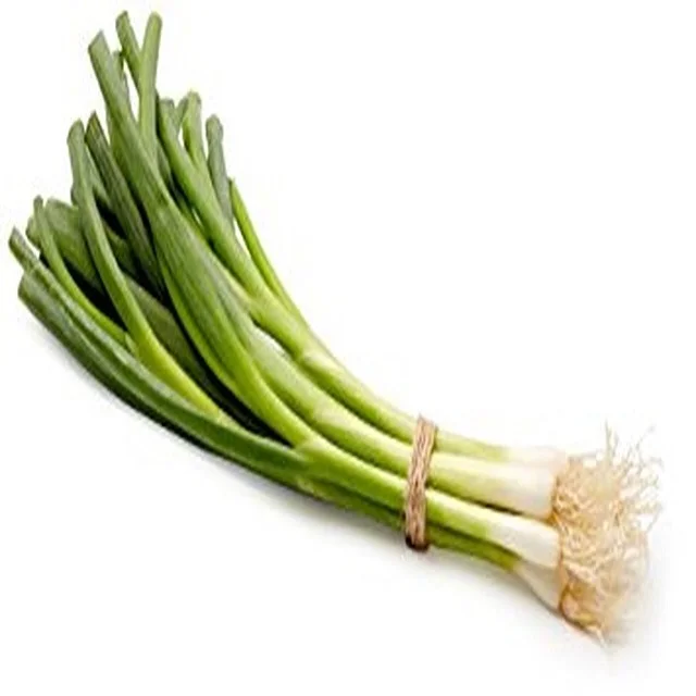 Austria mildly spicy good onion green fresh scallions