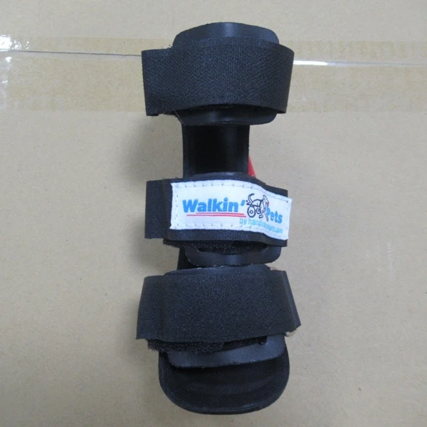 Инспекционная служба-доступна во Вьетнаме, Китае, Индии, Таиланде