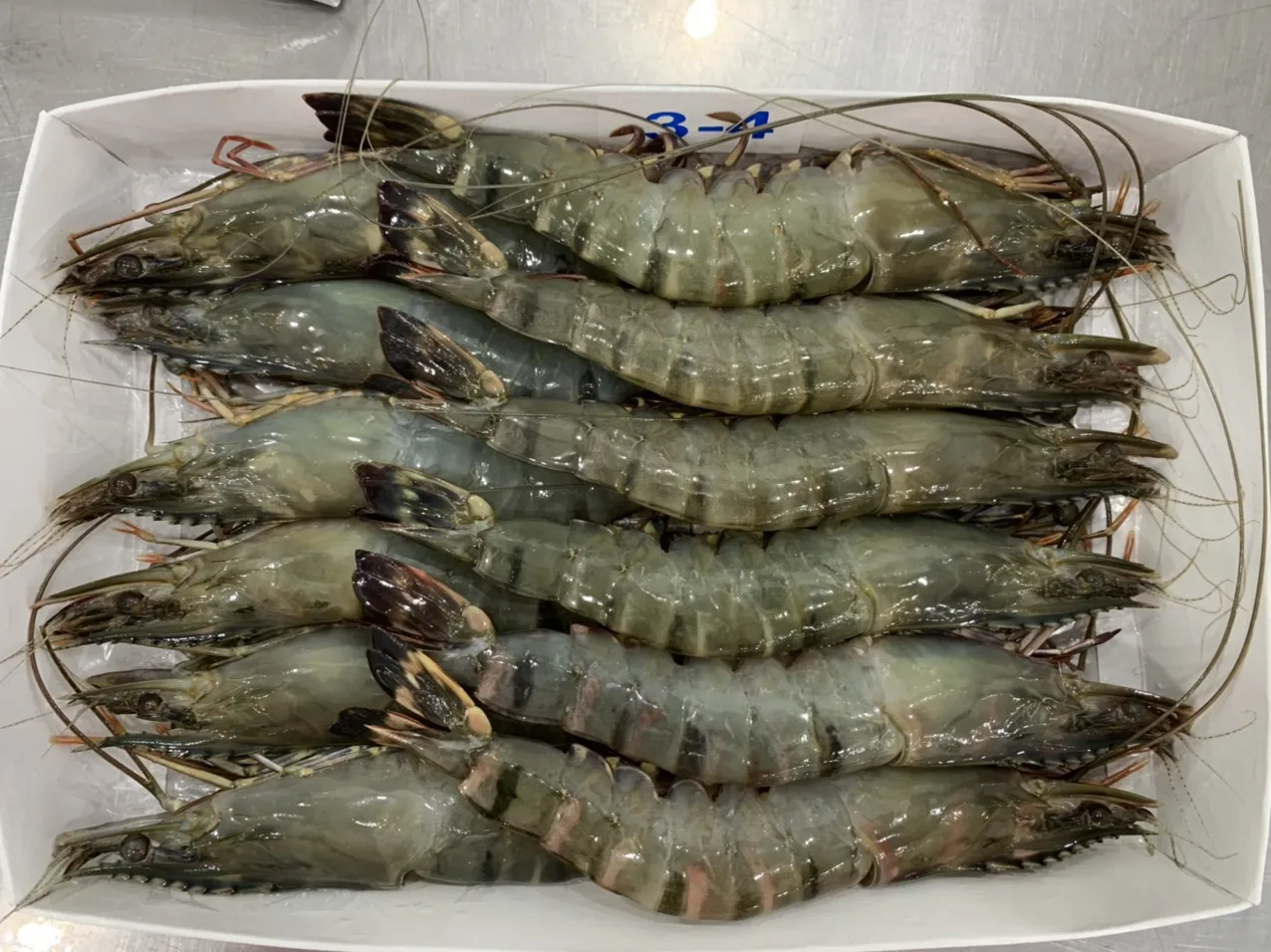 Оптовая продажа замороженных свежих черных тигровых креветок из Вьетнама по лучшей цене