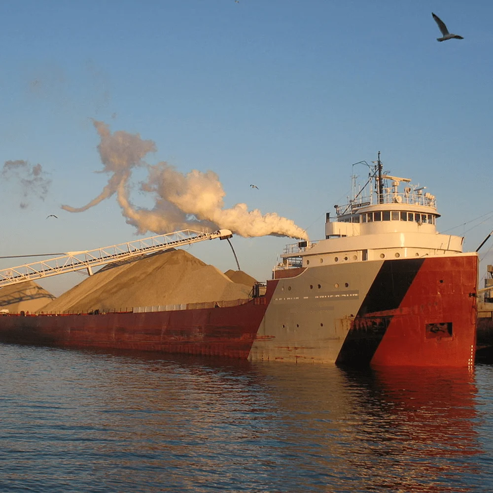  Различные тяги 4 крана общего назначения сухие контейнеры 1500Dwt ~ 65 000Dwt с массовым