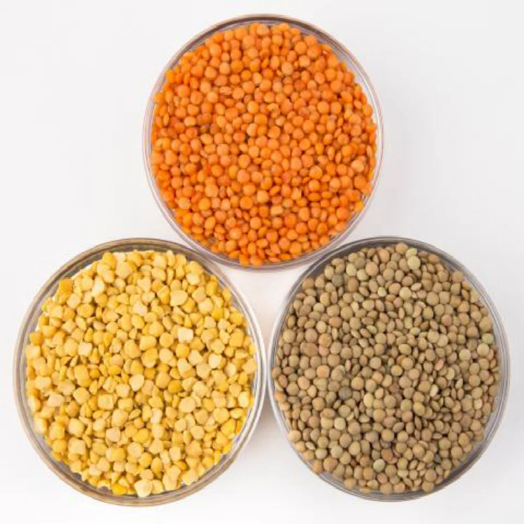 Export New Premium Quality Green & Red Lentils( Masoor Dal) Best price 2022