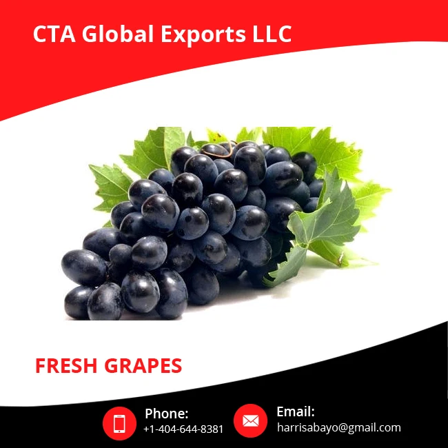 2020 Widely Demand Top Quality Wholesale Fresh Fruit Grapes