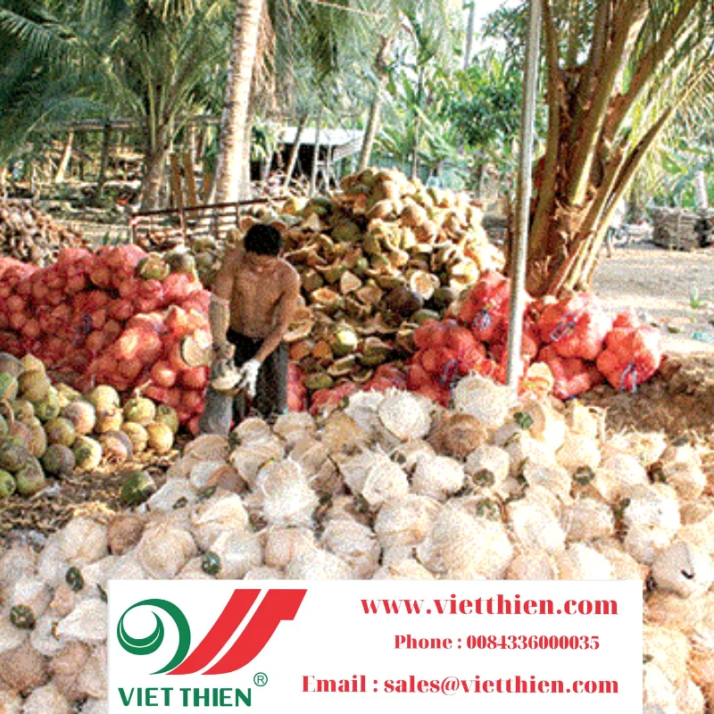 Dried coconut provides large quantities with clear origin at reasonable prices to ensure prestige and quality for consumers